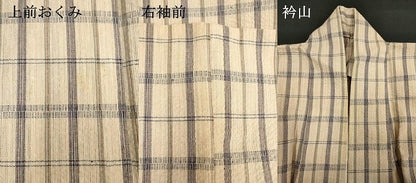平和屋着物∴夏物　阿波しじら織　浴衣　格子　綿　逸品　DABI3415cd