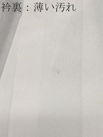 平和屋着物■訪問着　短冊花鳥文　暈し染め　金銀彩　正絹　逸品　CABJ8344xe