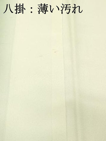 平和屋着物■訪問着　花鳥草花文　暈し染め　金彩　正絹　逸品　DABH3089qp