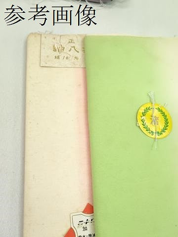 平和屋着物▼和装小物　八掛まとめて10点　暈し　色無地　紬地　大島紬　全て正絹　未使用多数　逸品　CABJ1586ju