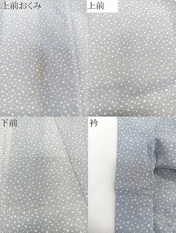 平和屋着物＊夏物　江戸小紋　絽　大小あられ　洗える着物　CABK8949xi