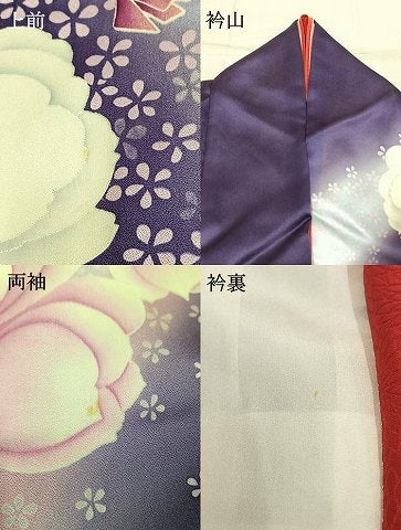平和屋着物●豪華振袖　舞花文　暈し染め　正絹　逸品　AABL3077fy