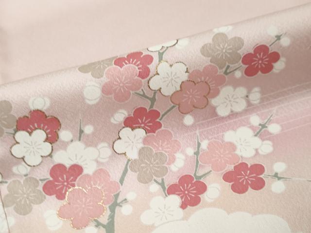平和屋着物●訪問着　風景草花文　暈し染め　金彩　正絹　逸品　未使用　DABI9404ud