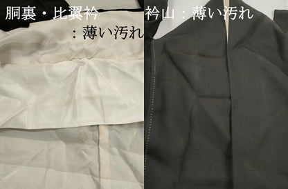 平和屋着物■豪華黒留袖　作家物　立波花鳥文　船　金彩　正絹　逸品　DABJ5118qa