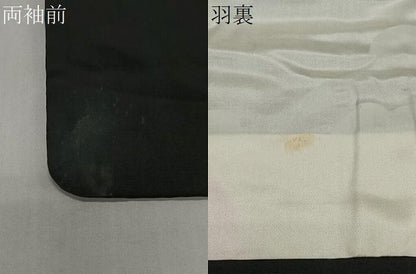 平和屋着物＃抽象文様　黒地　金彩　やまと誂製　正絹　逸品　CABL4117ua
