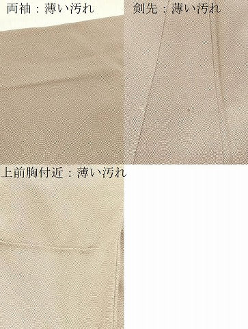 平和屋着物■江戸小紋　鮫小紋柄　正絹　逸品　BAAY5720yc