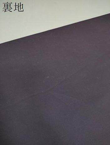 平和屋着物▼六通柄袋帯　舞桜熨斗文　黒地　金銀糸　正絹　逸品　DABI6808ps