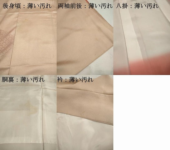 平和屋着物■色留訪問着　青海波地紋　暈し染め　正絹　逸品　DABK3037qa
