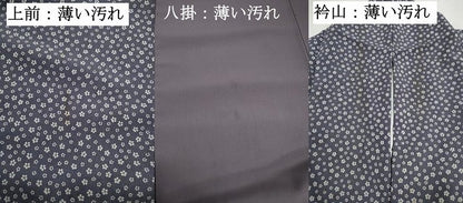 平和屋着物■江戸小紋　小花尽くし　松坂屋扱い　正絹　逸品　DABK3058qa
