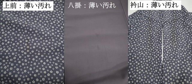 平和屋着物■江戸小紋　小花尽くし　松坂屋扱い　正絹　逸品　DABK3058qa