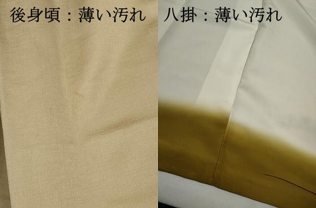 平和屋着物■訪問着　風景花文　暈し染め　金銀彩　正絹　逸品　DABK3081qa