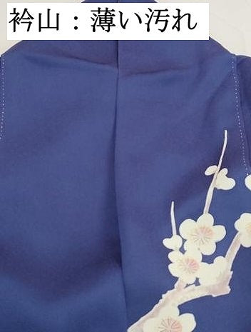 平和屋着物●豪華振袖　刺繍　草花文　牡丹　正絹　逸品　DABK3040qa