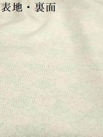 平和屋着物▼小紋　反物　着尺　菊尽くし　逸品　未使用　DABK3628zy