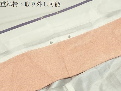 平和屋着物●京友禅伝統工芸士　坂東峰彩　訪問着　南天文　暈し染め　正絹　逸品　CABM4989gh