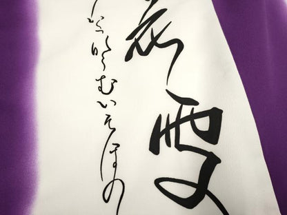 平和屋本店●お引きずり・お引き摺り　小紋　和装　舞台　舞妓　芸妓　芸者　衣装　文字文間道　DABK1442cd