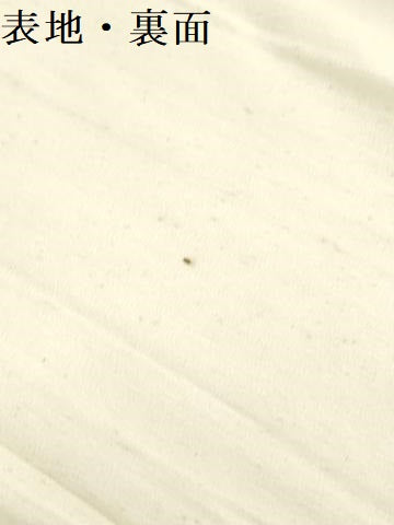 平和屋着物▼白生地　反物　着尺　浜紬　生成り色　逸品　未使用　DABK3919zy