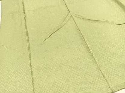平和屋着物●上質な色無地　草花地紋　裏葉柳色　さが美扱い　ロング丈　正絹　逸品　BAAY9312yc
