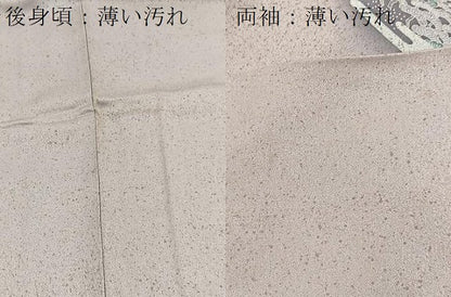 平和屋着物■訪問着　浜松文　暈し染め　金彩　正絹　逸品　BAAY5941yc