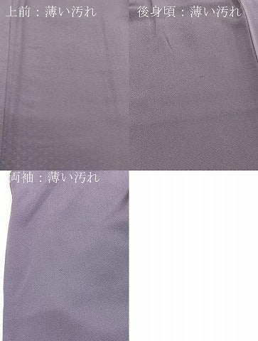 平和屋着物■色留訪問着　枝垂れ柳文　薄鼠色　暈し染め　金彩　正絹　逸品　BAAY5997yc