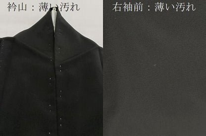 平和屋着物■豪華黒留袖　駒刺繍　正倉院花文　金銀彩　正絹　逸品　BAAY9010yc