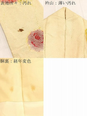 平和屋着物■豪華振袖　総絞り　舞花文　正絹　逸品　BAAY9016yc