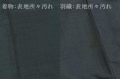 平和屋着物■男性　本場大島紬　アンサンブル　80亀甲　総詰め　正絹　逸品　BAAY9192yc