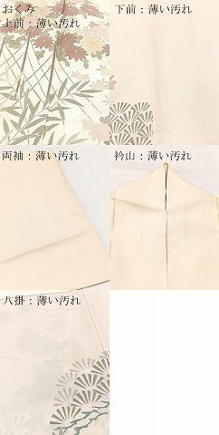 平和屋着物■色留訪問着　風景花文　金彩　正絹　逸品　BAAY9239yc