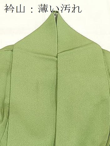 平和屋着物■訪問着　草花文　暈し染め　金彩　正絹　逸品　BAAY9130yc