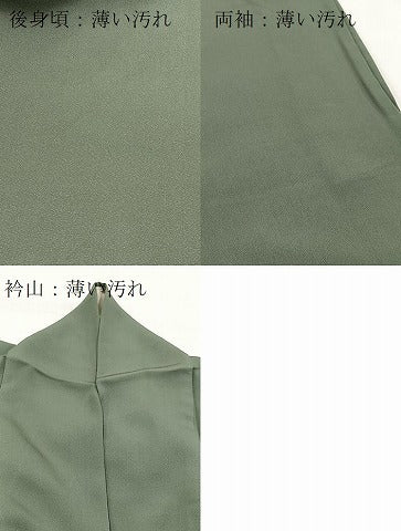 平和屋着物■豪華色留袖　寿光織　重ね山風景文　暈し染め　金糸　正絹　逸品　BAAY9150yc