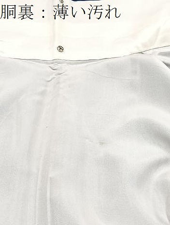 平和屋着物■訪問着　友禅　楽器花文　暈し染め　正絹　逸品　BAAY9328yc