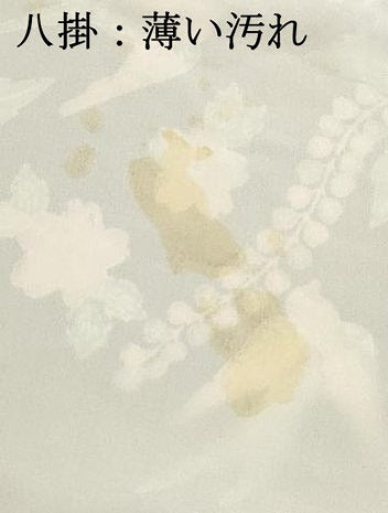 平和屋着物■上質な小紋　型染　花鳥文　鬼しぼ縮緬　正絹　逸品　DABK6259qa