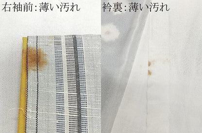 平和屋着物■上質な紬　花間道　正絹　逸品　CABN2144xe