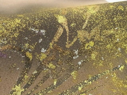 平和屋本店■極上　浦野理一　金彩友禅　九寸開き名古屋帯　枝花文　暈し　金銀彩　鬼しぼ縮緬　正絹　逸品　未使用　4kk10146 - 平和屋