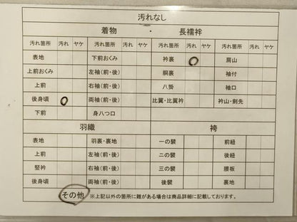 平和屋着物■長襦袢 無双仕立て 流水地紋 暈し染め 正絹 逸品 AAAM0985fy