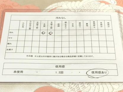 平和屋着物◎六通柄袋帯 唐織 鳳凰の丸 銀糸 正絹 逸品 AAAM3623sx