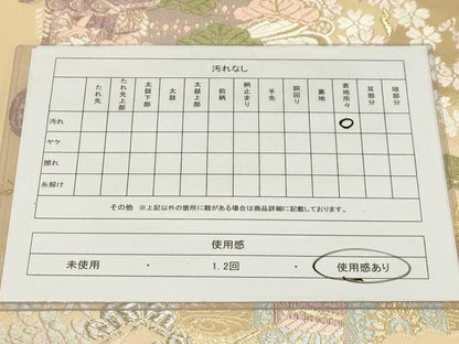 平和屋着物◎伝統工芸士 廣瀬成樹 六通柄袋帯 唐織 雅 金銀糸 正絹 逸品 AAAM3982sx