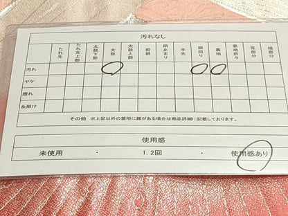 平和屋着物◎両面全通柄袋帯 孔雀羽文 金銀糸 正絹 逸品 AAAM5731cx