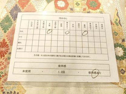 平和屋着物◎六通柄袋帯　唐織　地紙吉祥花文　金銀糸　正絹　逸品　AAAM8622fw