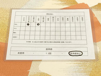 平和屋着物◎綴れ 太鼓柄袋帯 破れ箔散らし文様 金銀糸 正絹 逸品 AAAN6929pf