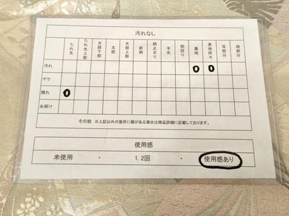 平和屋着物◎六通柄袋帯 女人文 銀糸 正絹 逸品 AAAN7858pf