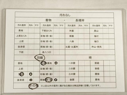 平和屋着物■羽織 寿光織 地紋起こし 舞花熨斗文 金銀糸 正絹 逸品 AAAO7555bw