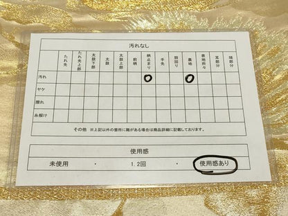 平和屋着物◎六通柄袋帯 松葉文 金銀糸 引箔 正絹 逸品 AAAP1124tm