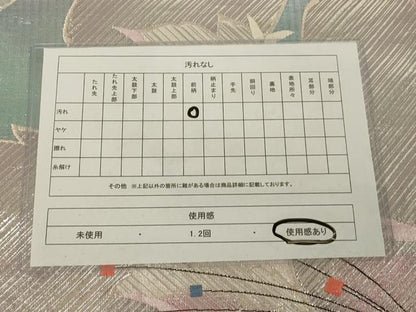 平和屋着物◎佐賀錦 六通柄袋帯 舞蝶文 銀糸 正絹 逸品 AAAP1181tm