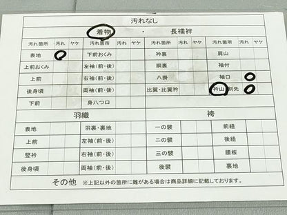 平和屋着物■訪問着　友禅　枝花文　暈し染め　正絹　逸品　AAAP7275cg