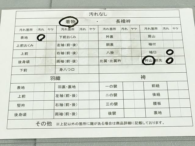 平和屋着物■訪問着　友禅　枝花文　暈し染め　正絹　逸品　AAAP7275cg