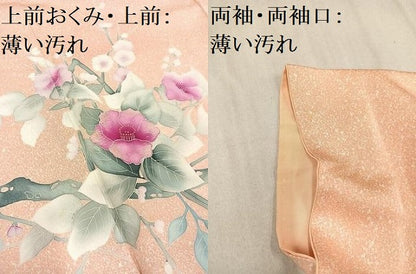 平和屋着物■訪問着　枝花文　たたき染め　正絹　逸品　AAAQ3211ph