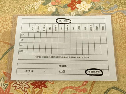 平和屋着物◎六通柄袋帯 唐織 花筏文 金糸 正絹 逸品 AAAR0482tm