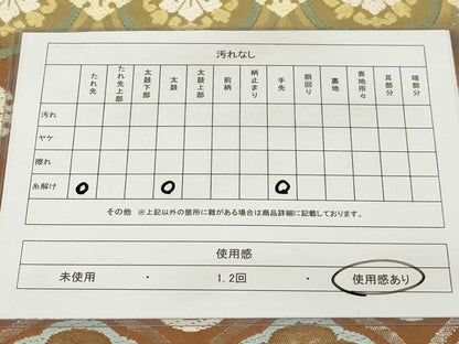 平和屋着物◎六通柄袋帯 唐織 伝統工芸錦 立涌花文 銀糸 正絹 逸品 AAAR1686sx