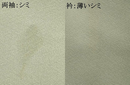 平和屋着物■訪問着　風景文　正絹　逸品　AAAR7548fy