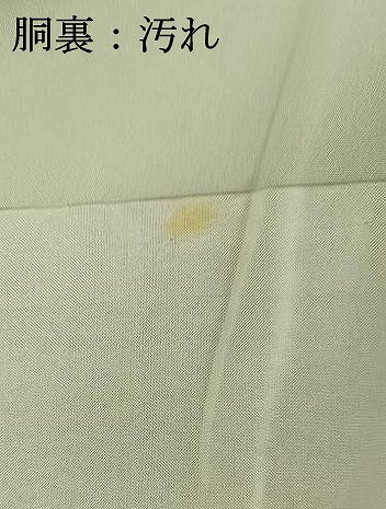 平和屋着物■訪問着　流水花文　蛍　金彩　正絹　逸品　AAAR7774jh